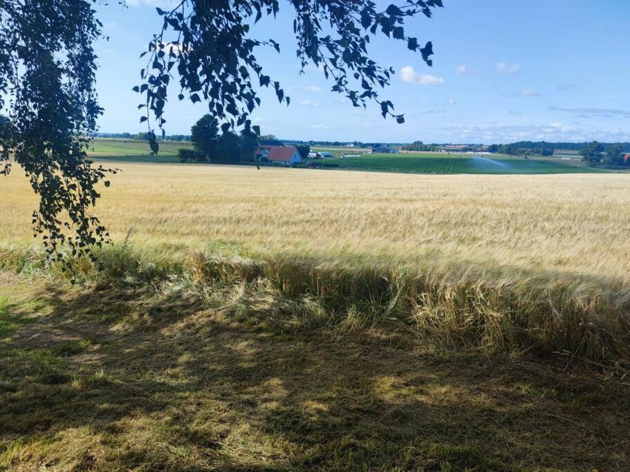 Вілла Gaesthus Pa Oesterlen Med Naerhet Till Strand & Golf Істад Екстер'єр фото